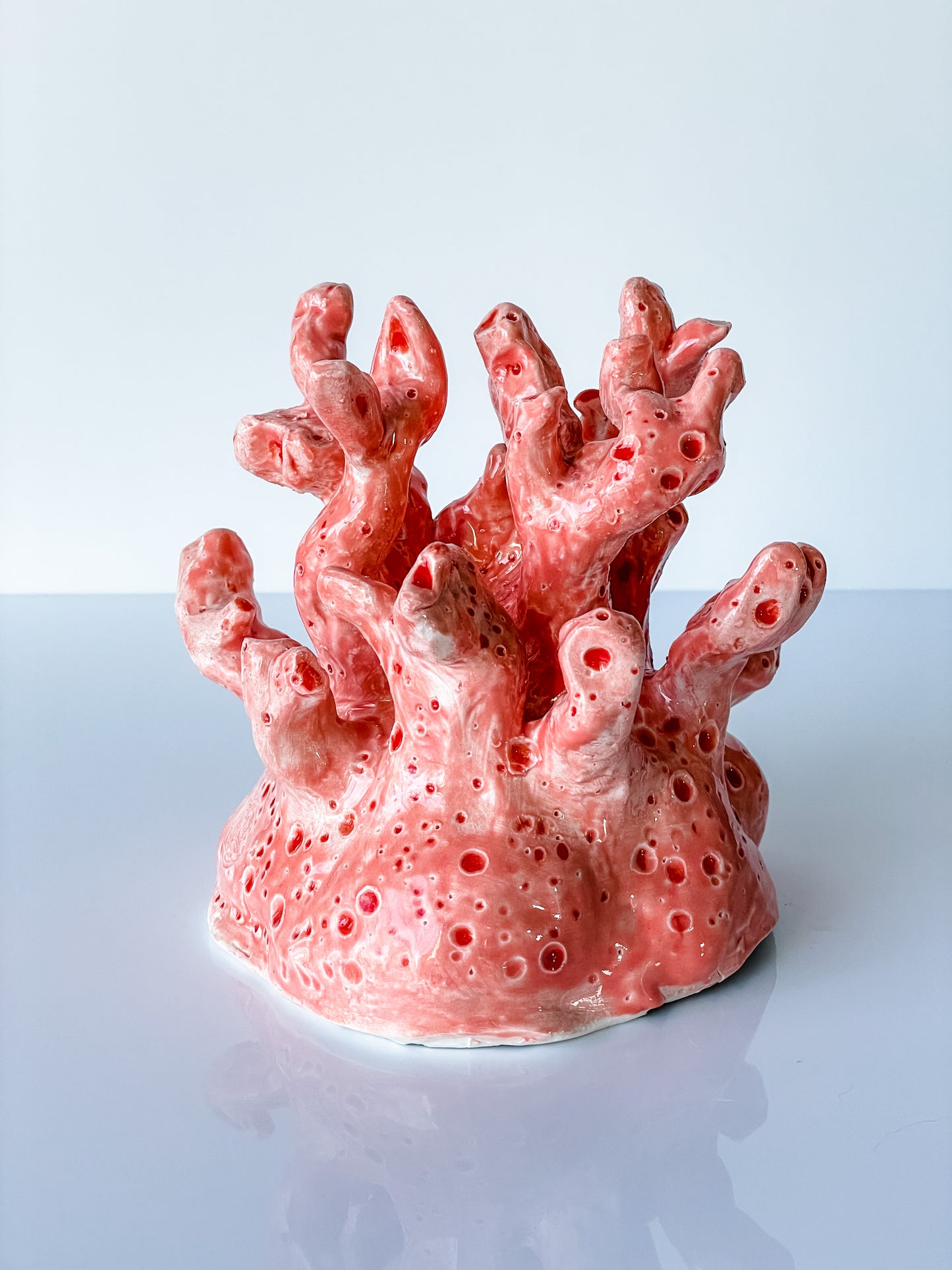 Coral Reef Sculpture