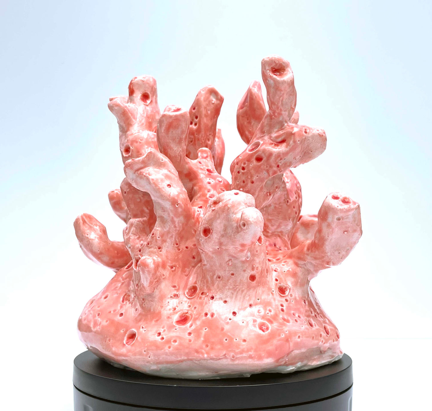 Coral Reef Sculpture