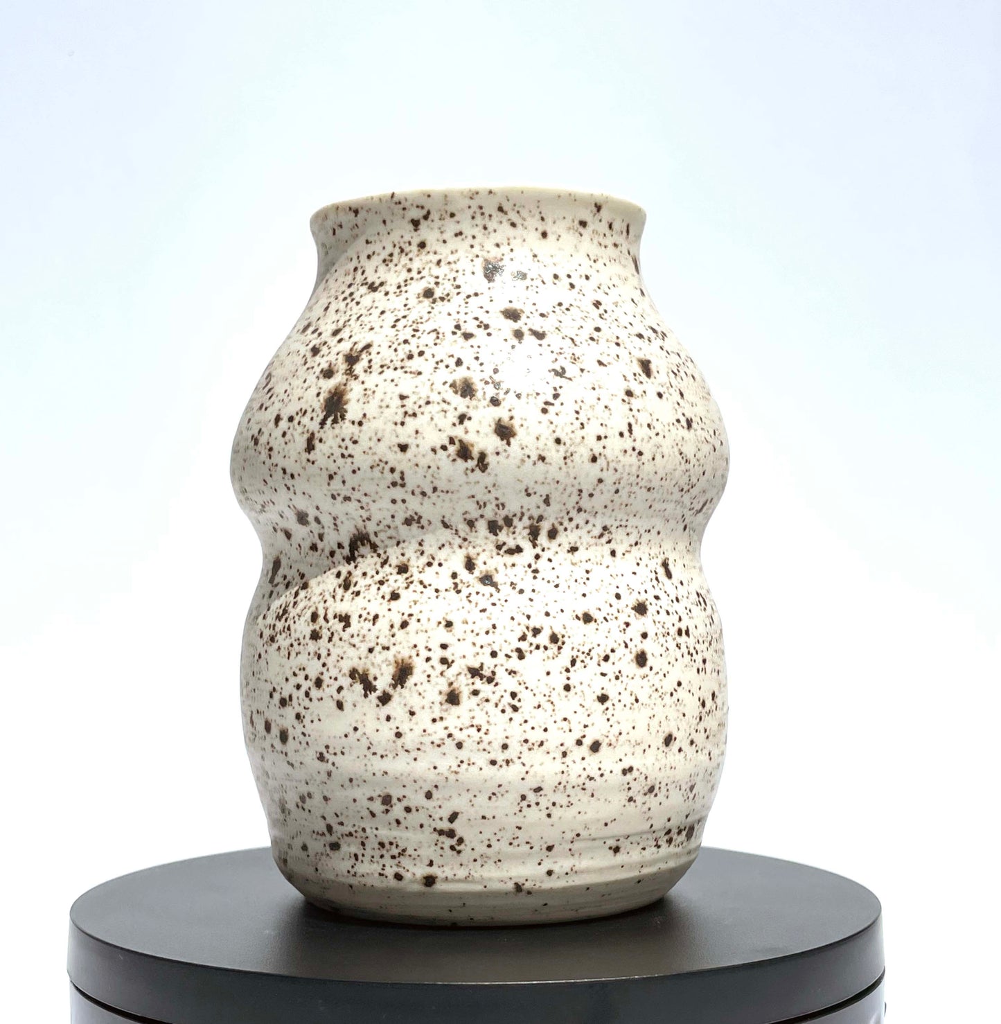 Sandpiper Vase #3